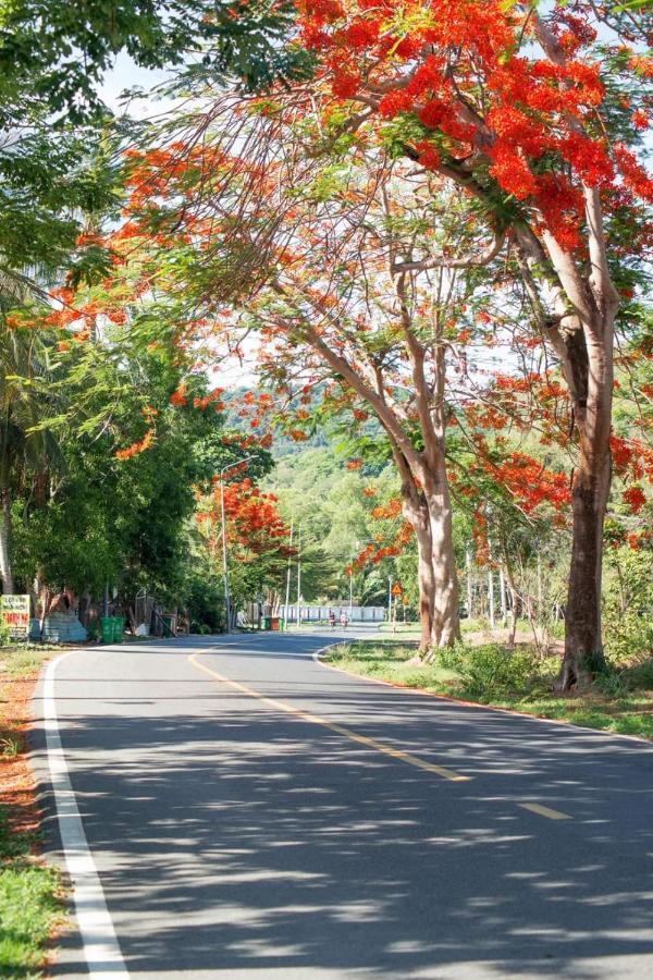 Homstay Thanh Son Chi Khu Co Ong Exterior foto